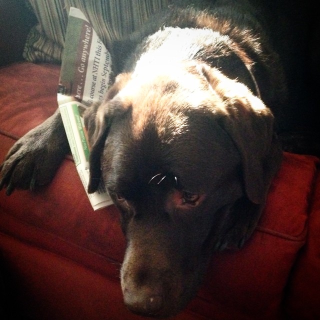 10471362_10152264991092913_2451267305228562687_n